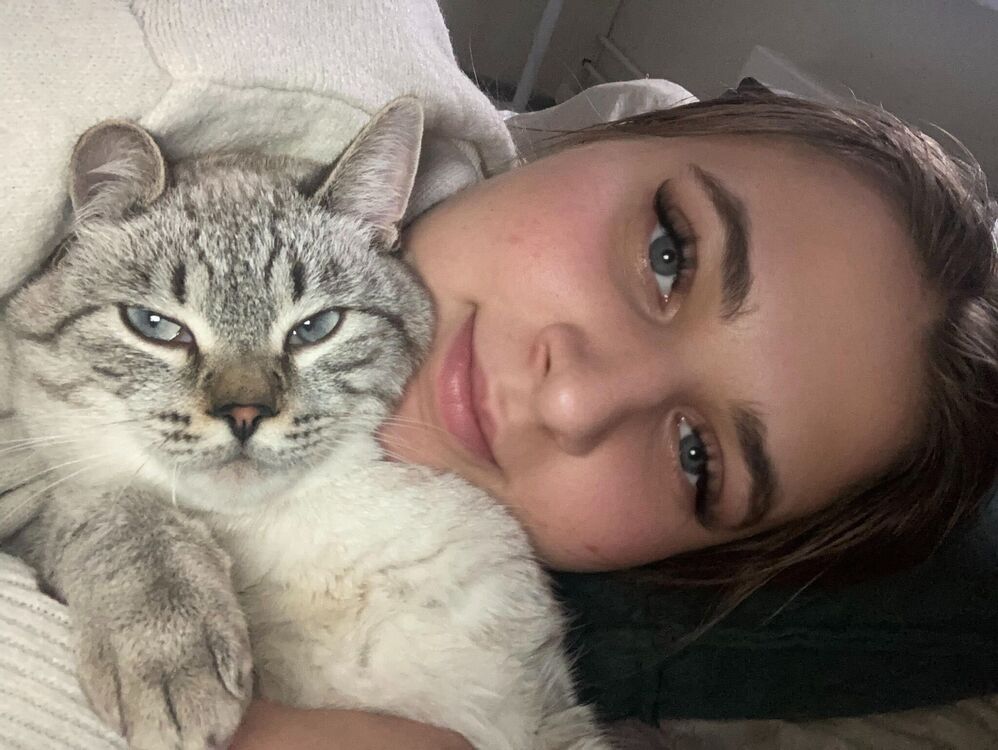  -,   , 22 ,   ,   