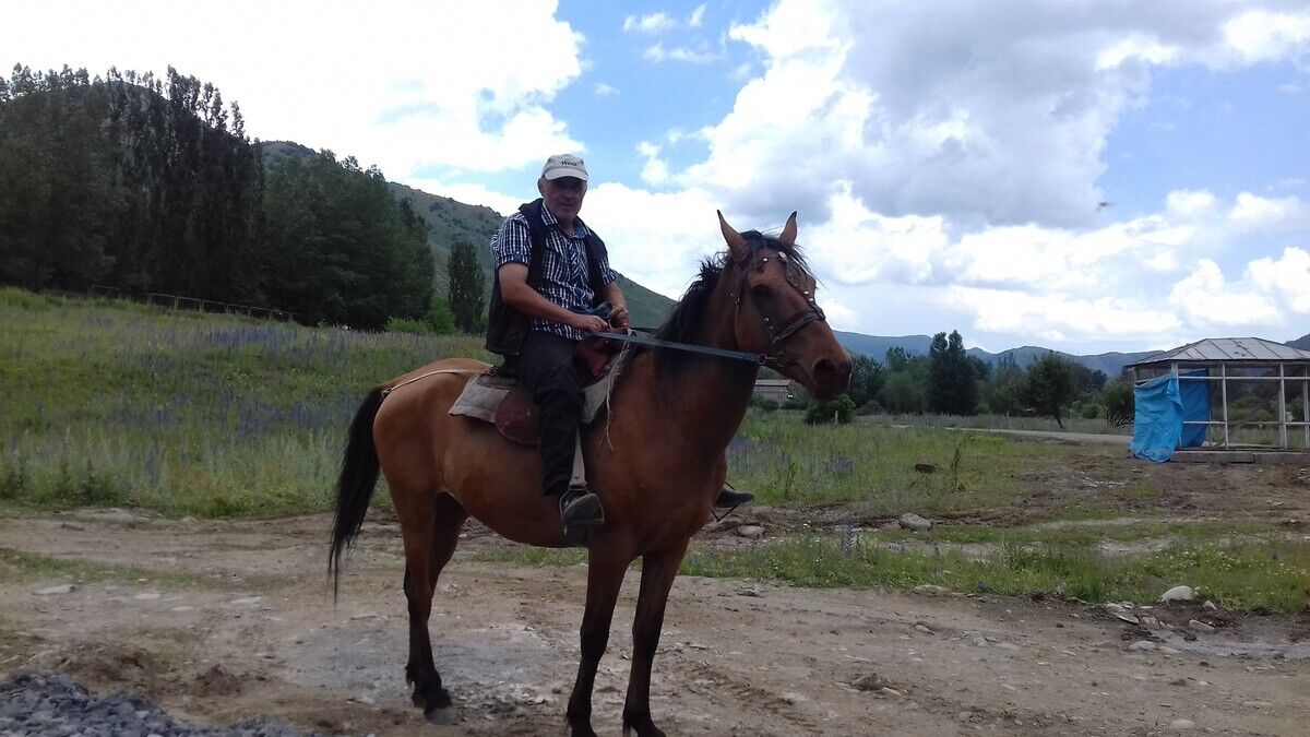 ���� 20060746 ������� ����, 50 ���, ���� ���������� � �������