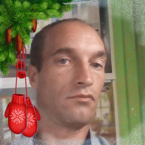  31333776  , 43 ,    