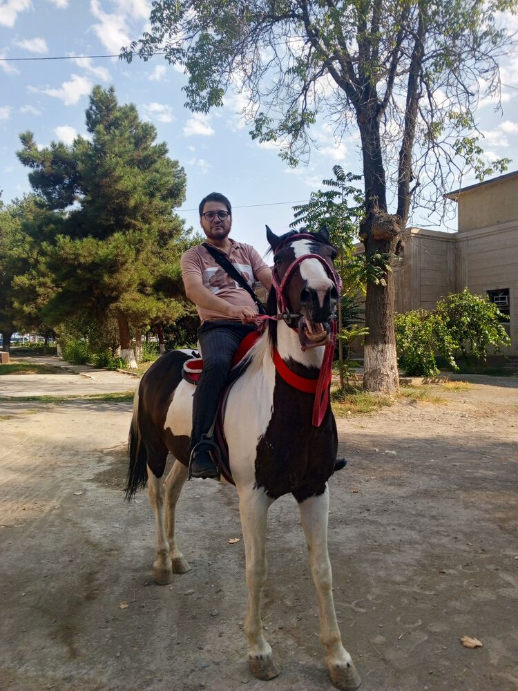 ���� 55956686 ������� �����, 40 ���, ���� ���������� � ������