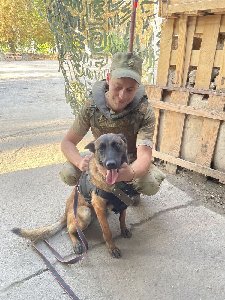 ���� 44564476 ������� �������, 29 ���, ���� ���������� � �����������