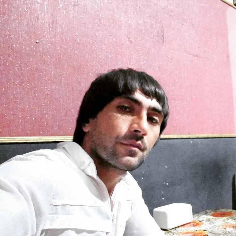  37876926   , 33 ,    