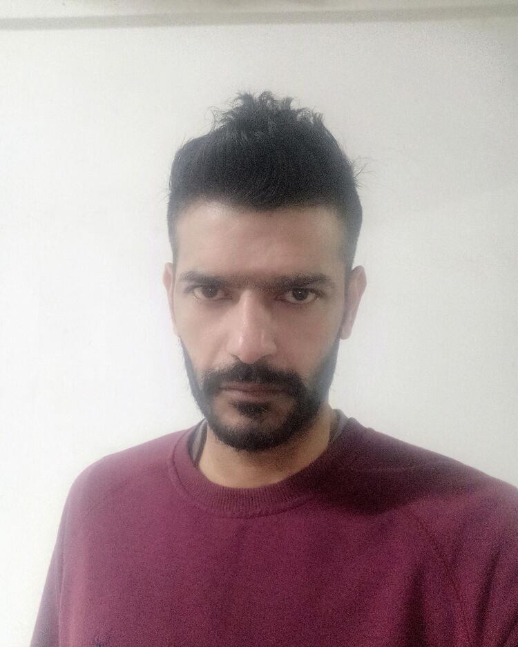 50498796  , 41 ,    