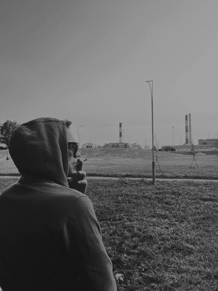  44311446  , 33 ,    -