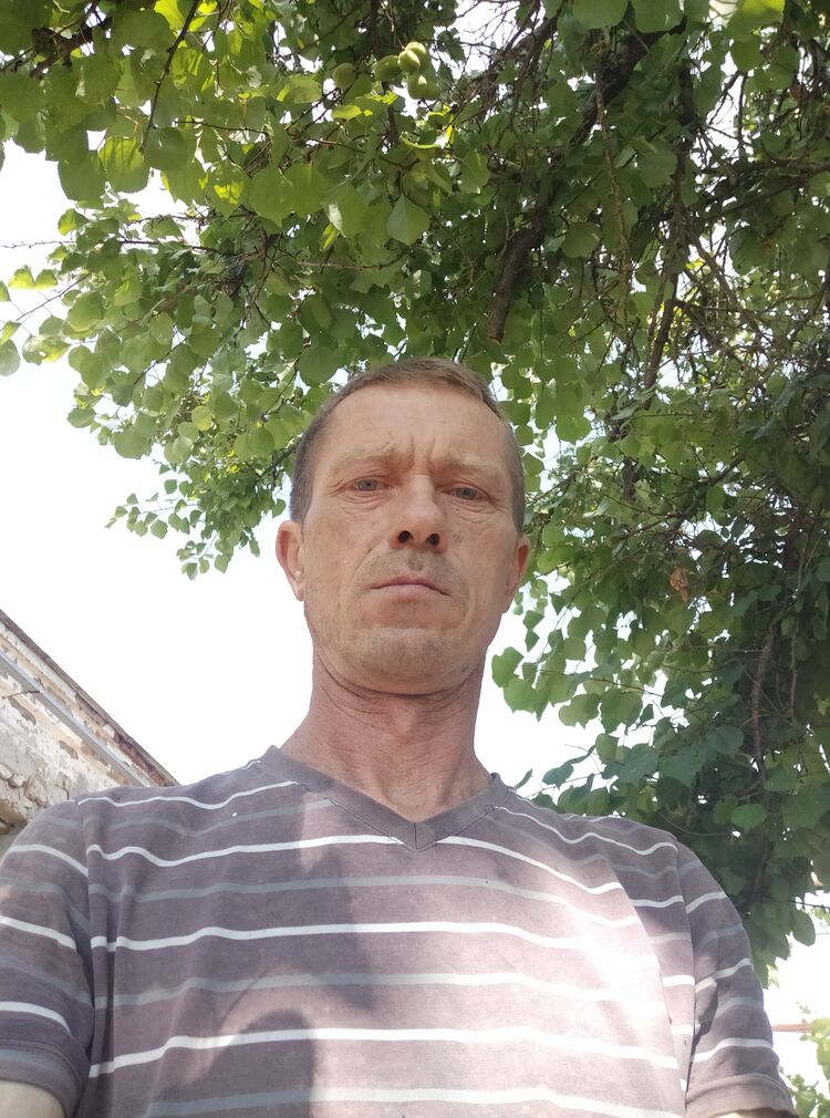  43770746  , 48 ,    