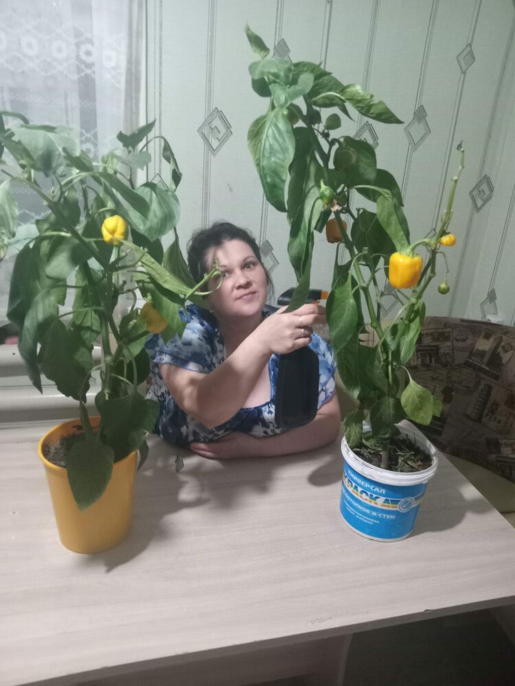  53077476  , 38 ,    