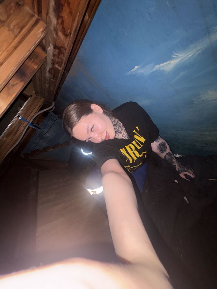  53879296  , 22 ,    