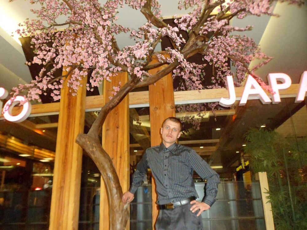 ���� 26614216 ������� ��������, 40 ���, ���� ���������� � �������������