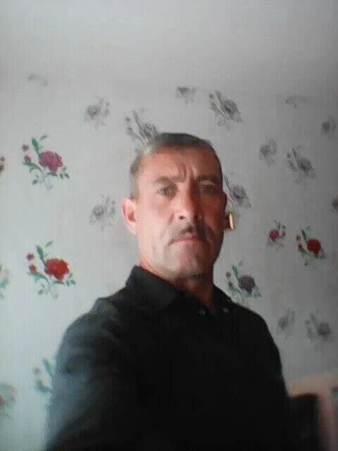  52816166  Vologei, 50 ,    