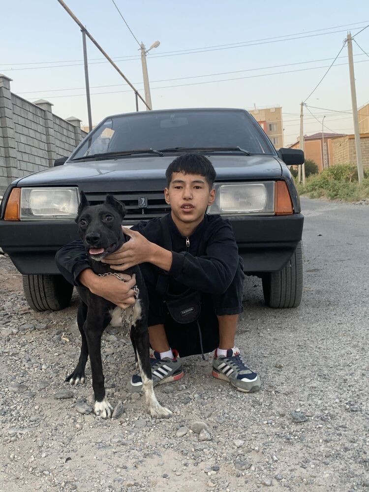 ���� 24411726 ����� �����, 22 ����, ���� ���������� � ������