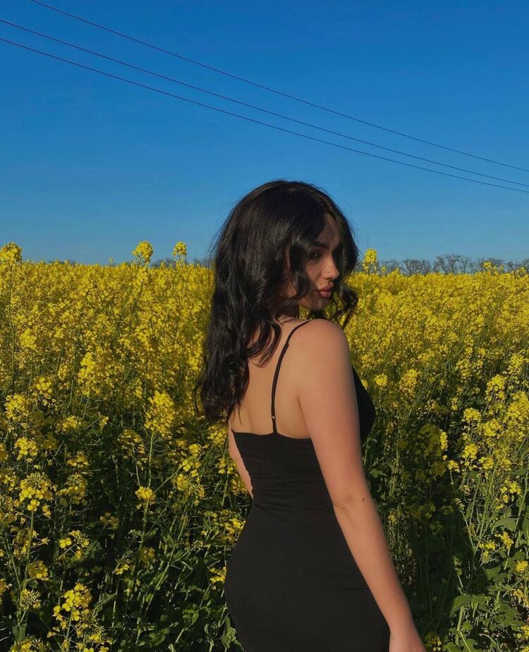  ,   , 24 ,   ,   , 