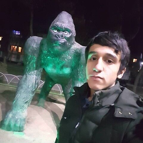 ���� 11659286 ������� ����� ����, 27 ���, ���� ���������� � �������