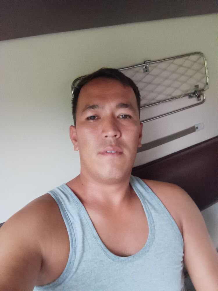  38495676  , 32 ,    