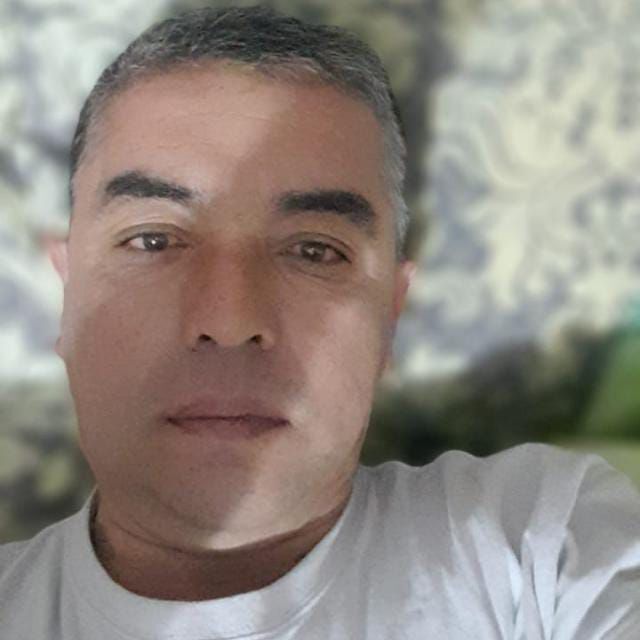  28306796  , 50 ,    
