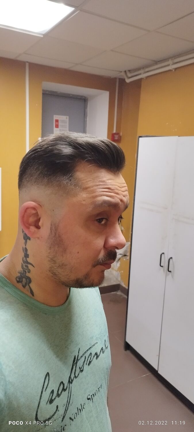  33043936  , 43 ,    -