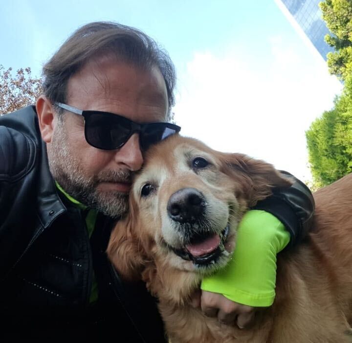 ���� 44308186 ������� Adam, 48 ���, ���� ���������� � ������