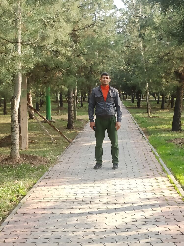 ���������� �������, ���� ������� �������, 29 ���, ������������ ��� c�������� ���������, ���������