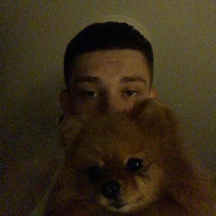 ���� 38803856 ����� ����, 20 ���, ���� ���������� � ������