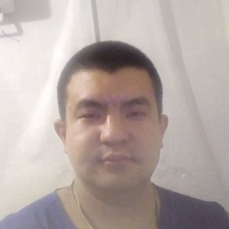  40275856  , 32 ,    