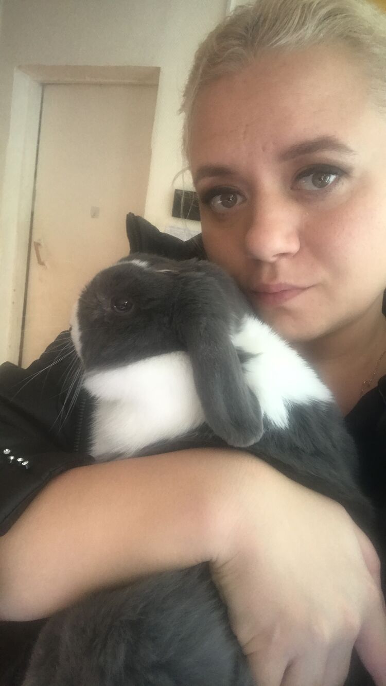 ���� 55069306 ������� �����, 41 ���, ���� ���������� � ��������