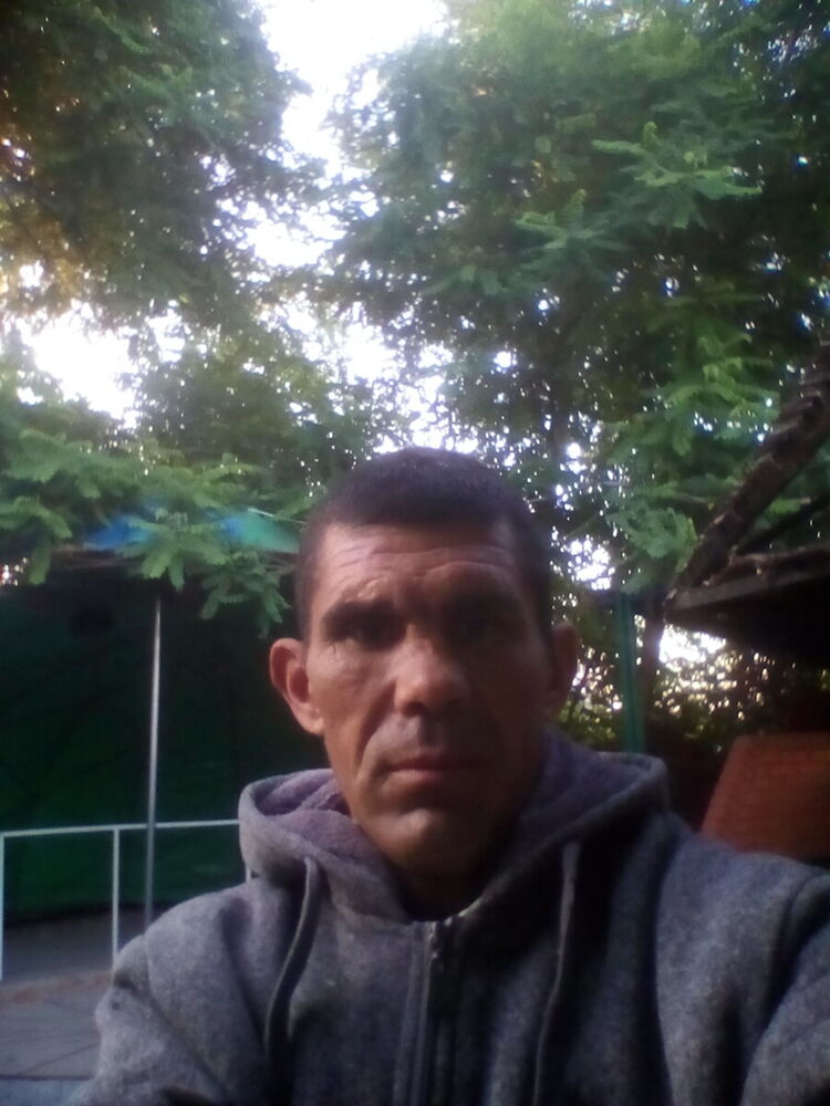  20306156  , 46 ,    