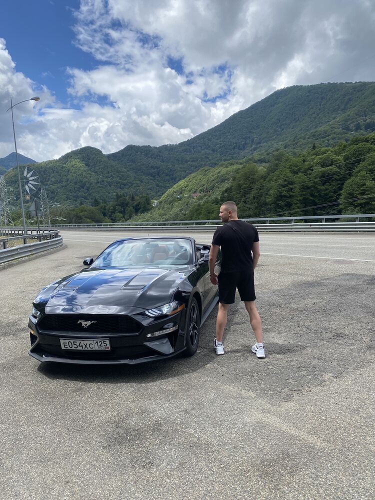  38213096  , 23 ,    -