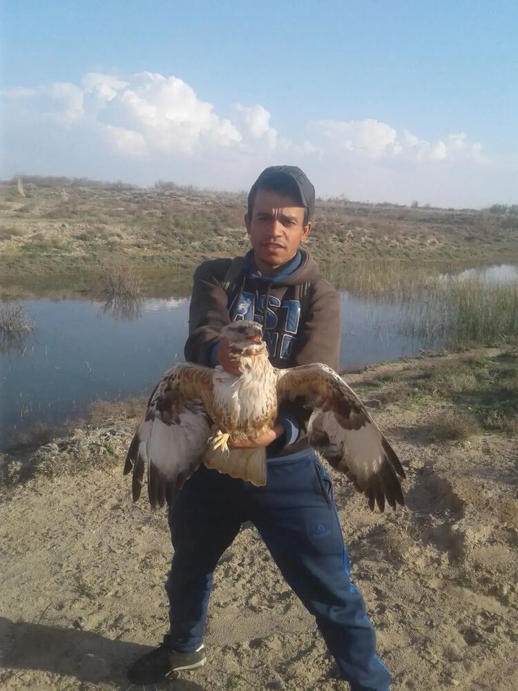 ���� 46766306 ������� �����, 38 ���, ���� ���������� � ������