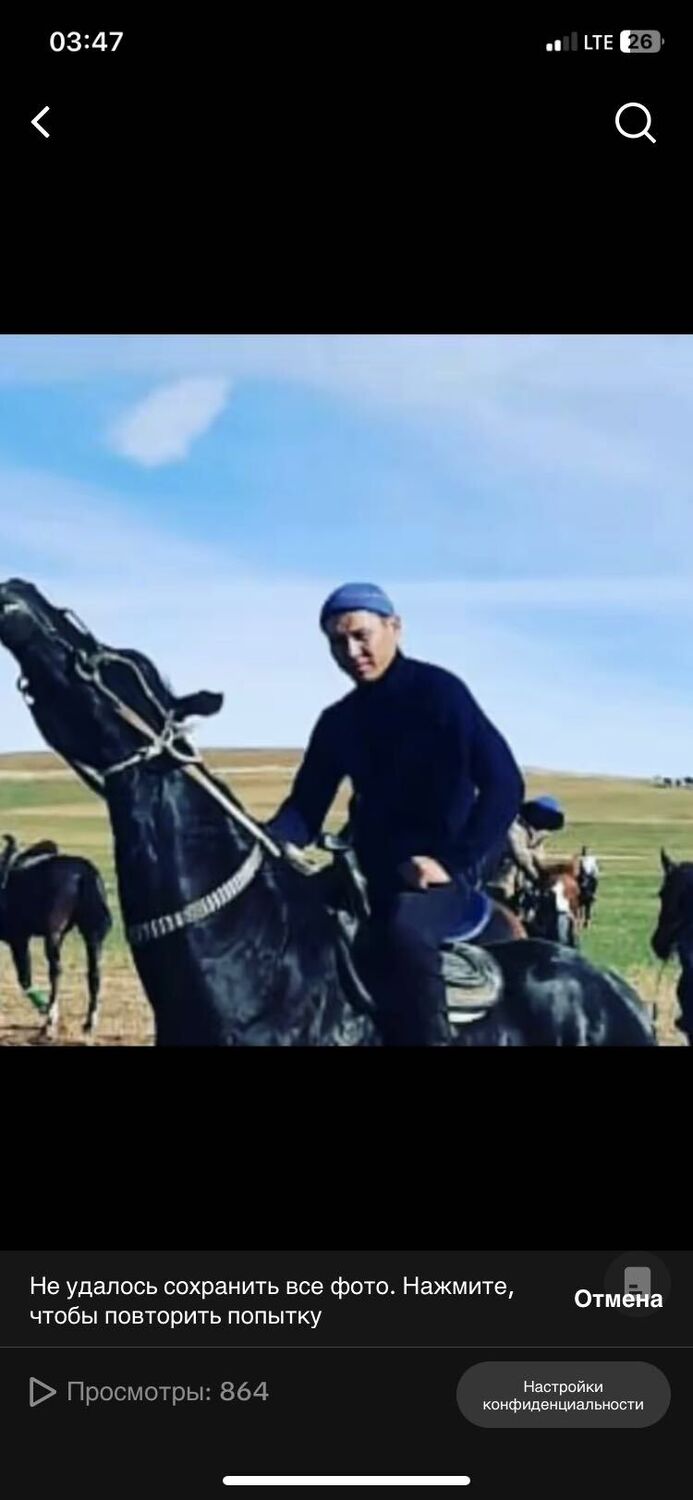 ���� 40241926 ������� �����, 38 ���, ���� ���������� � ������