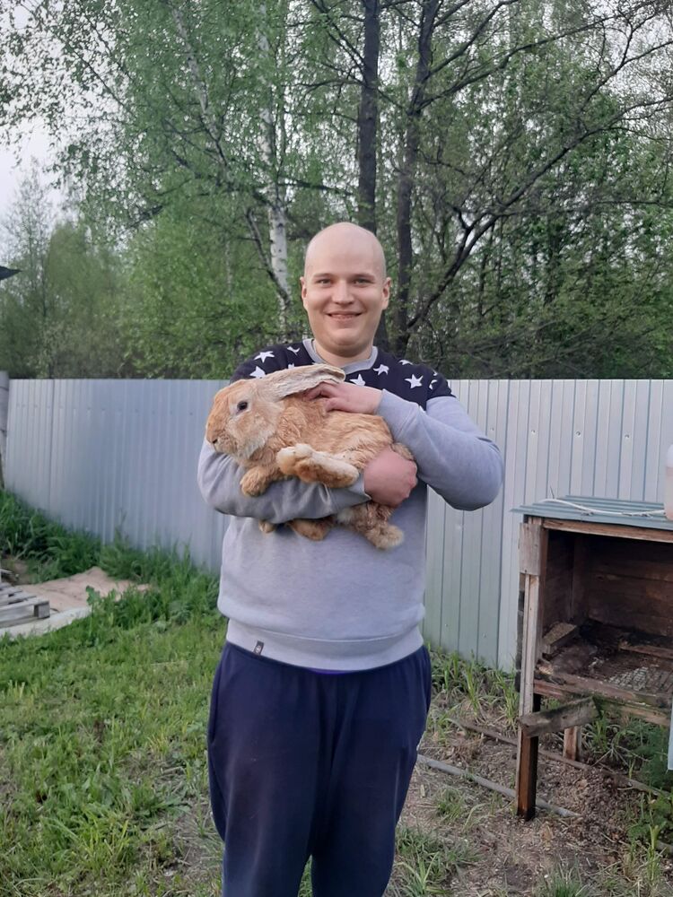 ���������� ������, ���� ������� ������, 34 ����, ������������ ��� ������, ����� � ���������