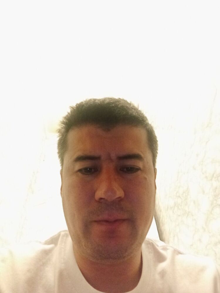 ���� 43785526 ������� Shok, 36 ���, ���� ���������� � ������