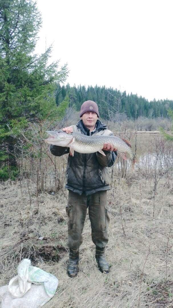 ���������� �����, ���� ������� Alexander, 47 ���, ������������ ��� ����� � ���������, c�������� ���������