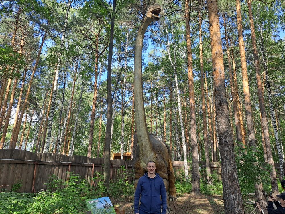 ���������� ������������, ���� ������� �����, 37 ���, ������������ 