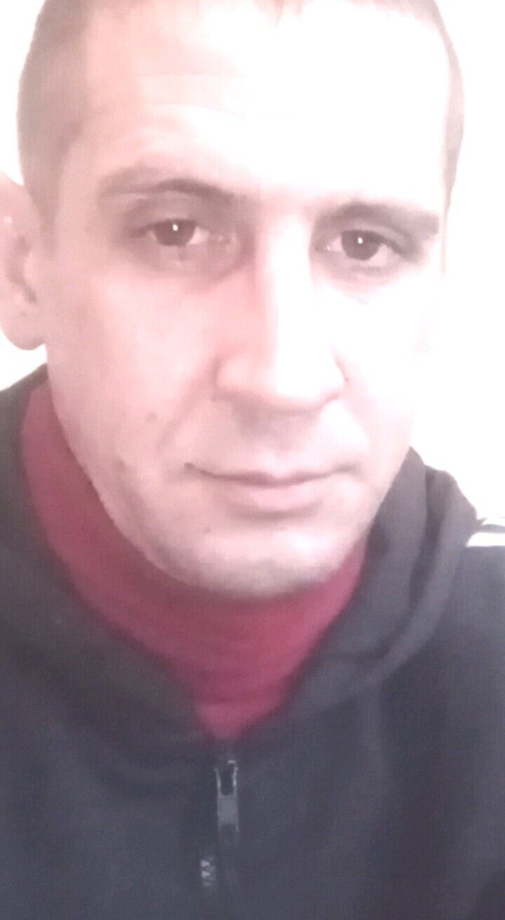  33795166  , 41 ,    