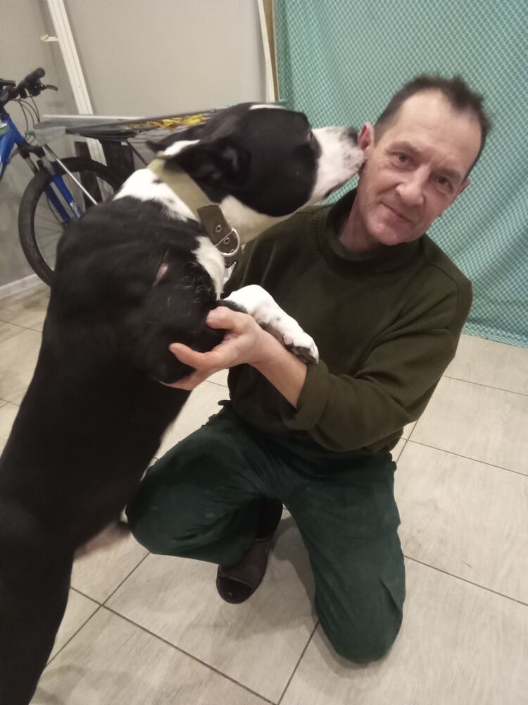 ���� 55425196 ������� ���������, 50 ���, ���� ���������� � ���������