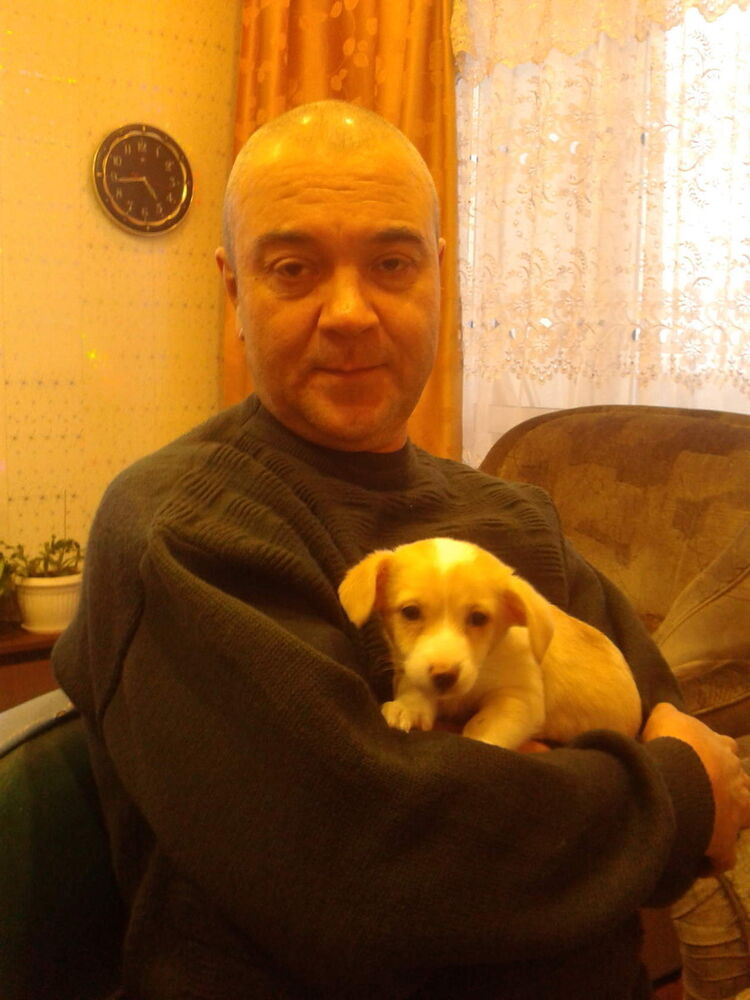  ,   , 53 ,  