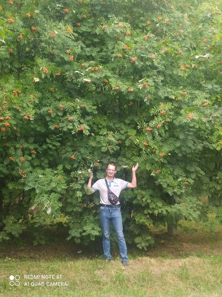 ���������� ��������, ���� ������� �������, 41 ���, ������������ ��� c�������� ���������