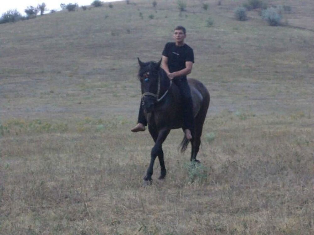 ���� 12767396 ������� ����, 45 ���, ���� ���������� � �����������