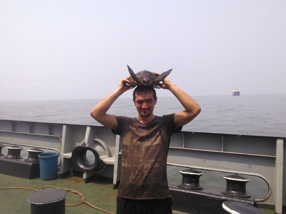 ���� 8587816 ������� �������, 37 ���, ���� ���������� � �����������