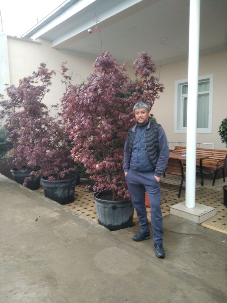  ,   Zzzzz, 45 ,   ,   