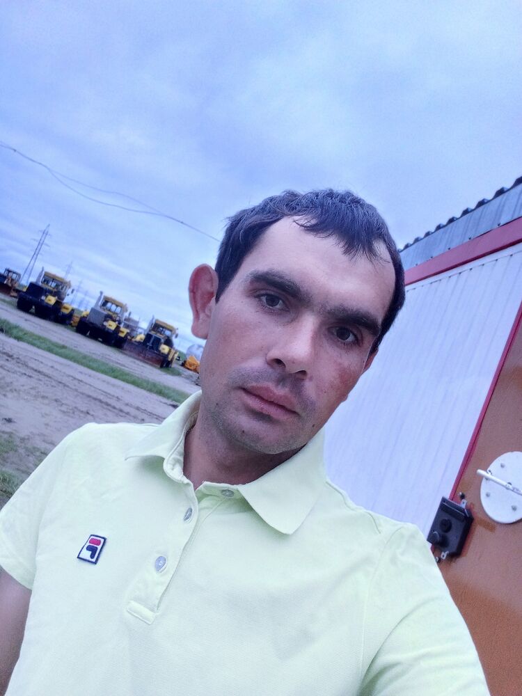  44565586  , 31 ,    