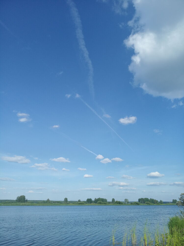  28381166  , 49 ,    