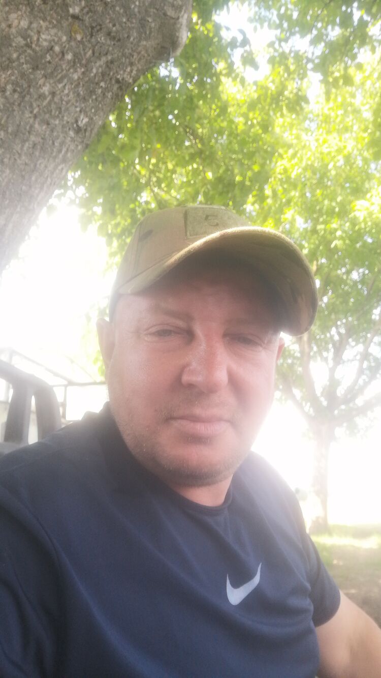  43339556  , 43 ,    --