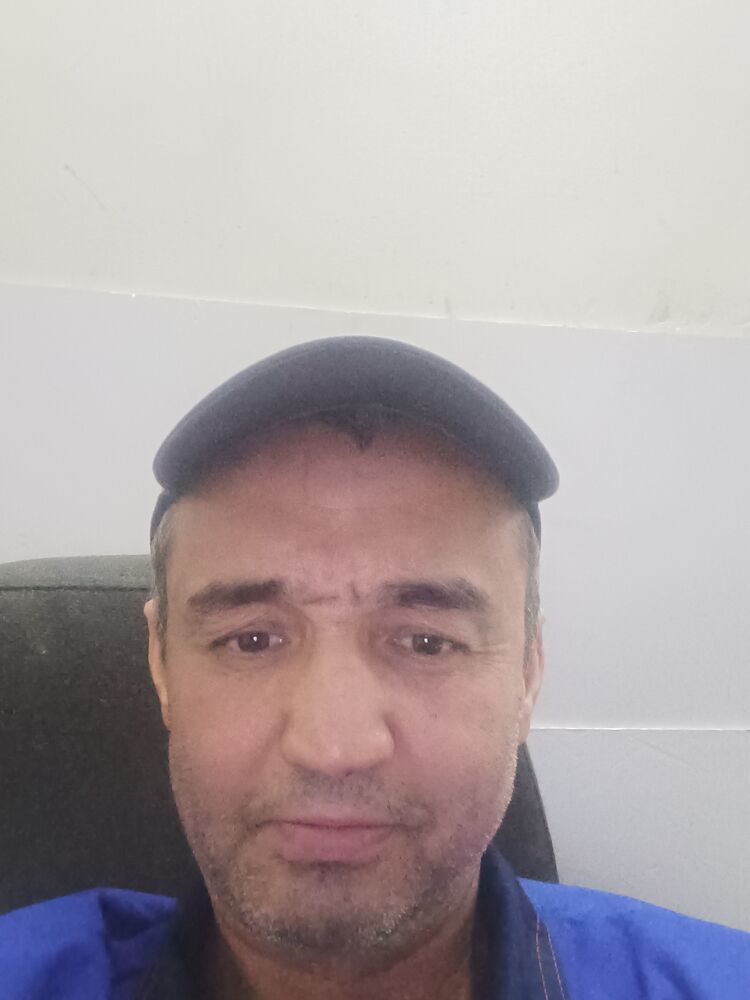  48668566  , 50 ,    
