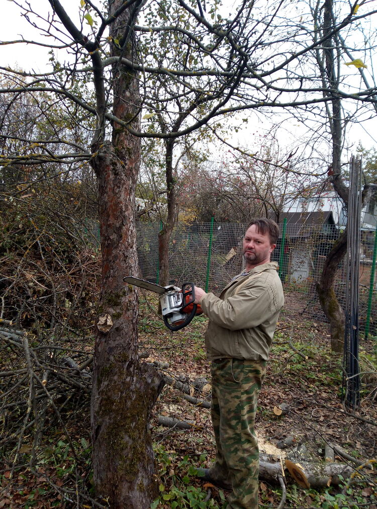 ���������� ������, ���� ������� ���������, 51 ���, ������������ ��� c�������� ���������