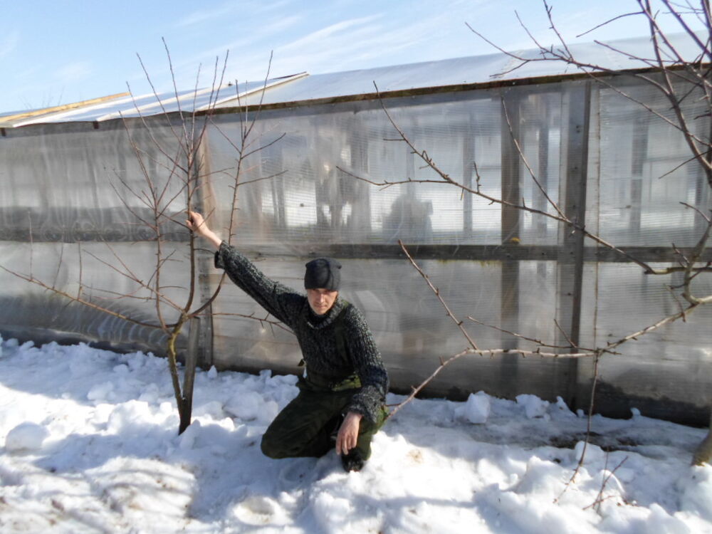  4508076  , 42 ,    -