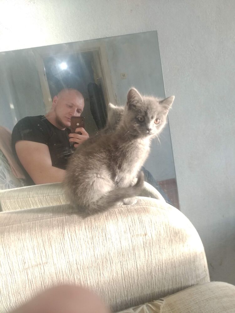 ���������� �����-���������, ���� ������� ����, 29 ���, ������������ ��� ������, ����� � ���������, c�������� ���������