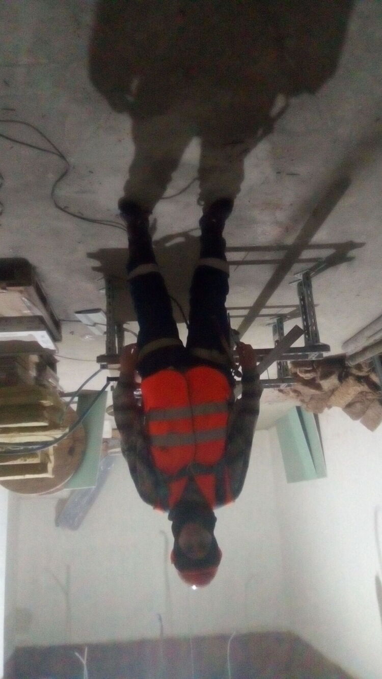 ���� 40952336 ������� ����, 49 ���, ���� ���������� � �������-��-����