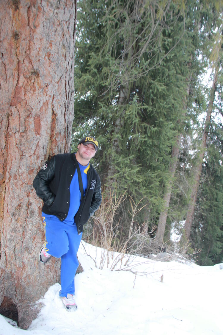 ���� 31812016 ������� �����, 42 ����, ���� ���������� � ������