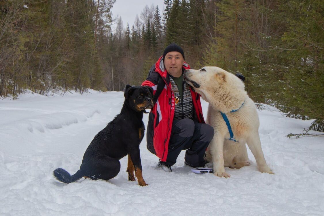  54136376  , 43 ,    -