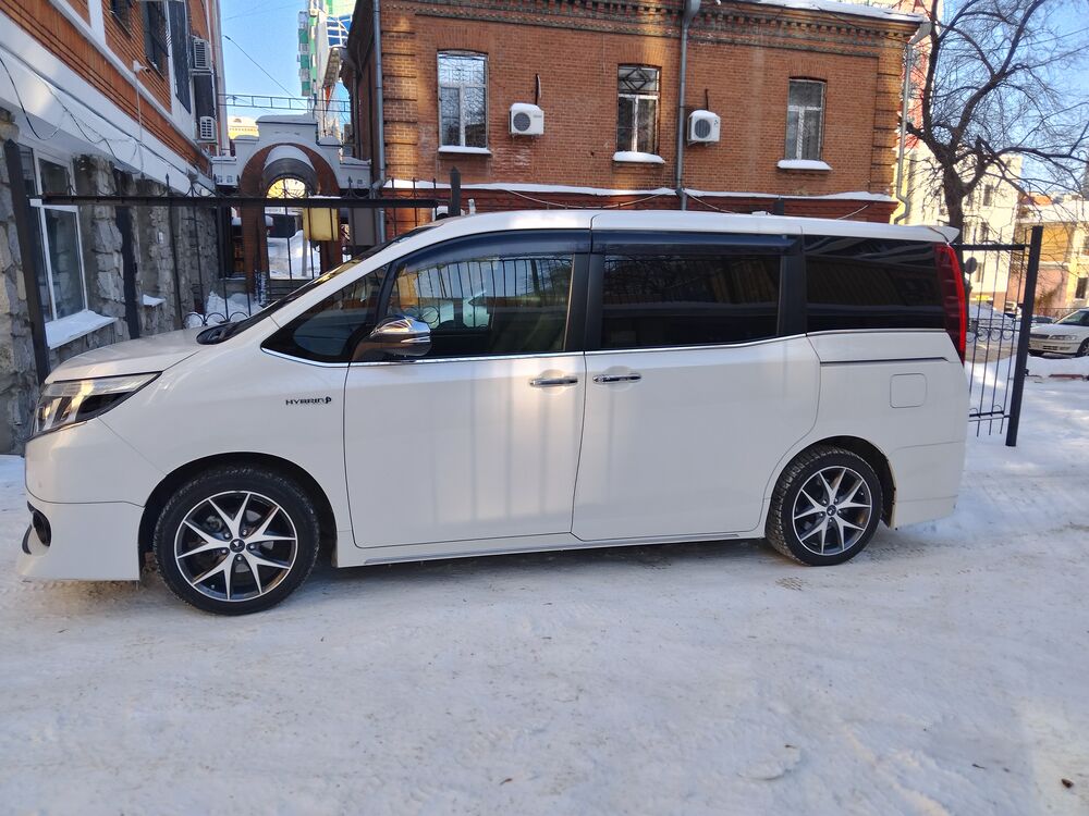 ���� 43262426 ������� ����, 36 ���, ���� ���������� � ����������